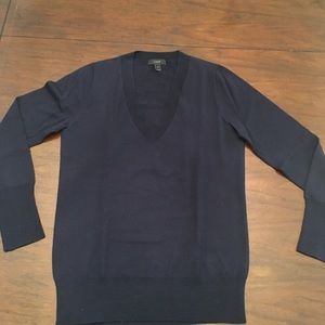 J Crew Merino Wool V Neck Sweater